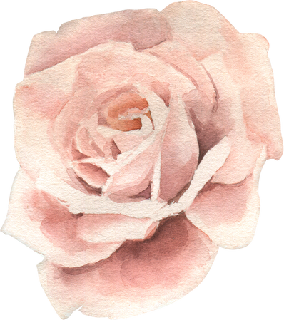 Watercolor Flower Illustration